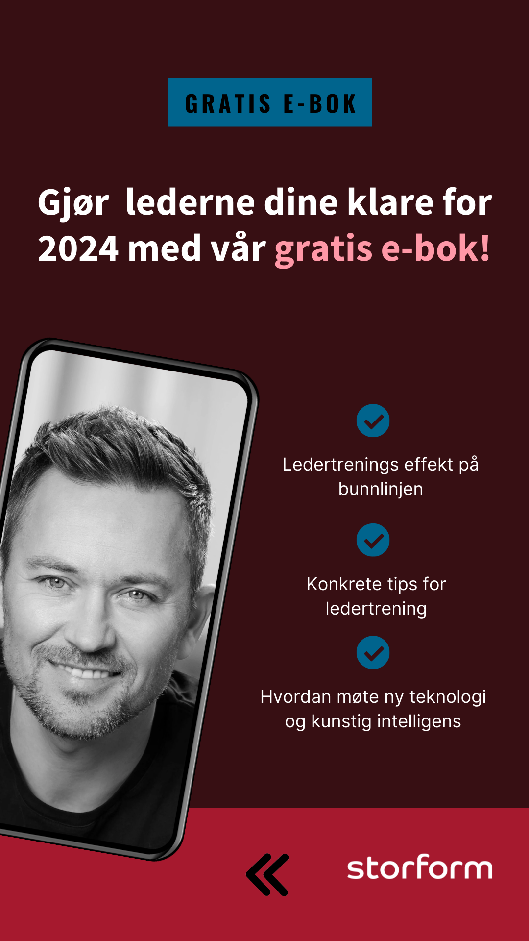 Kopi av Storform e-bok